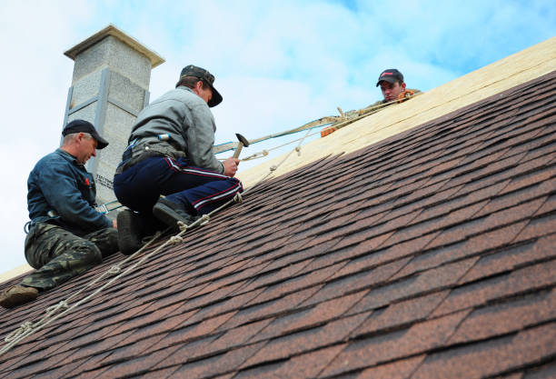 Best Residential Roofing Contractor  in Appleton, MN